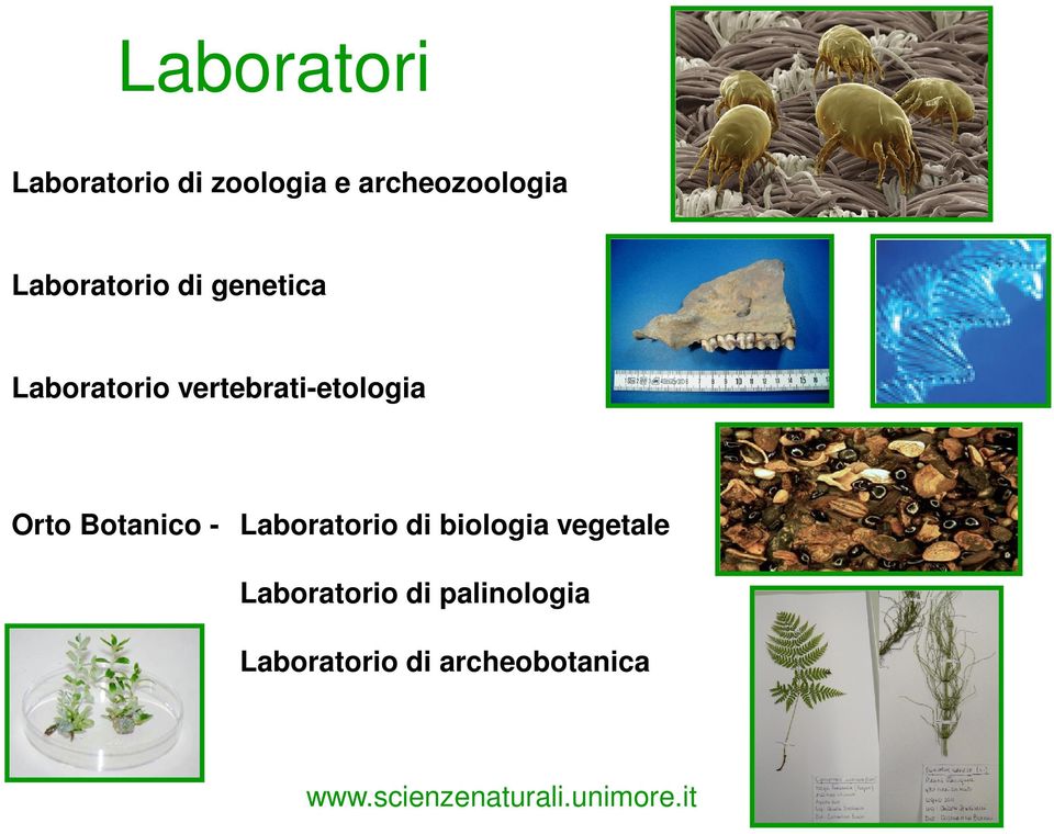 vertebrati-etologia Orto Botanico - Laboratorio di