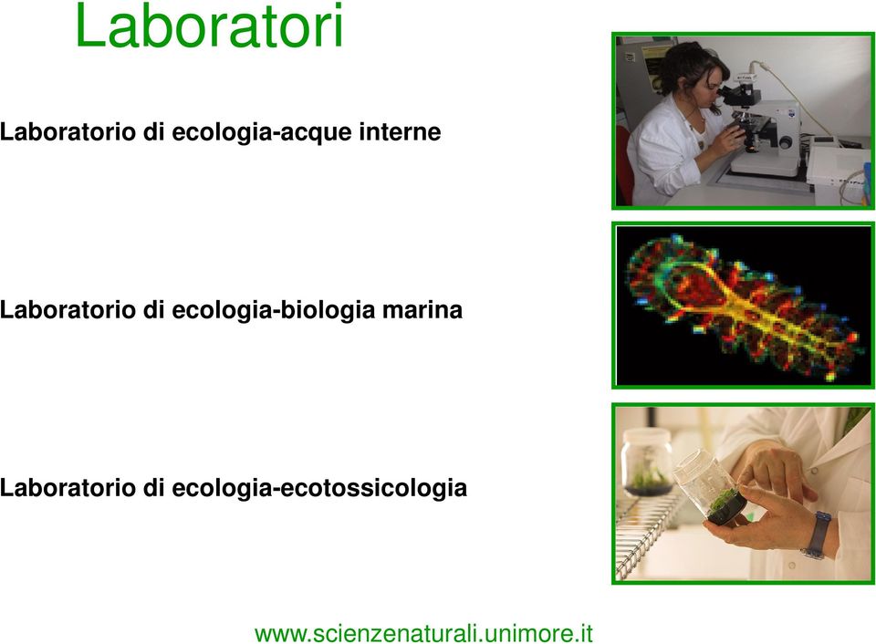 Laboratorio di