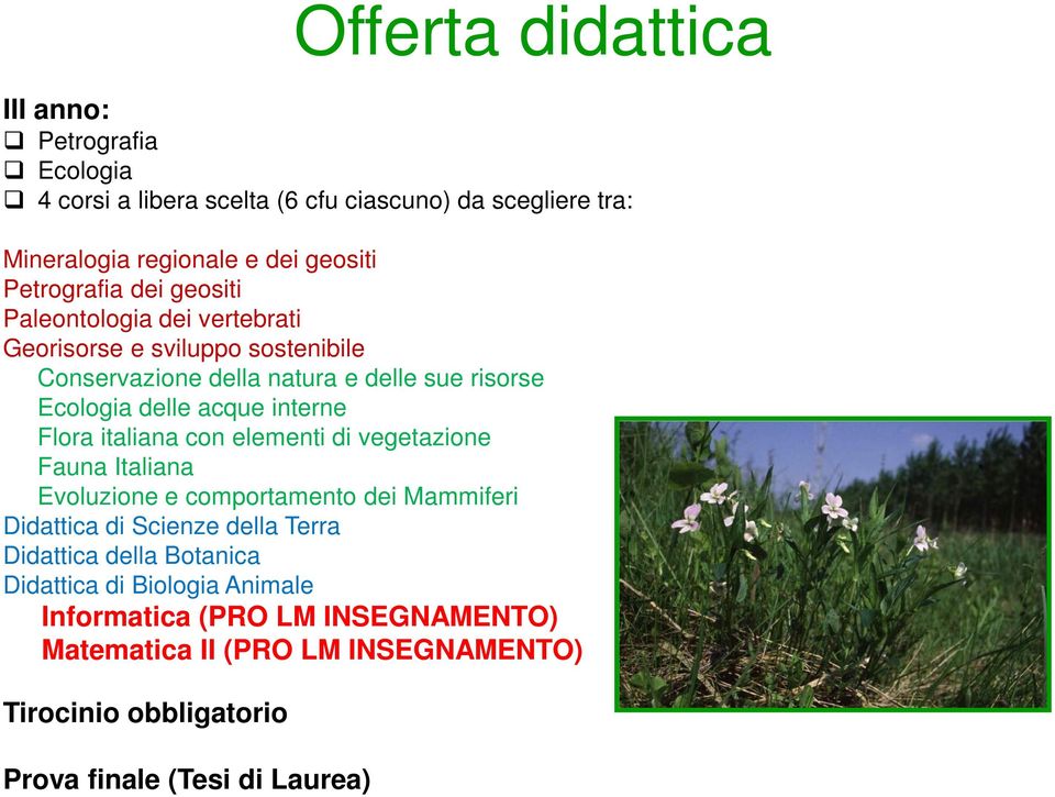 acque interne Flora italiana con elementi di vegetazione Fauna Italiana Evoluzione e comportamento dei Mammiferi Didattica di Scienze della Terra