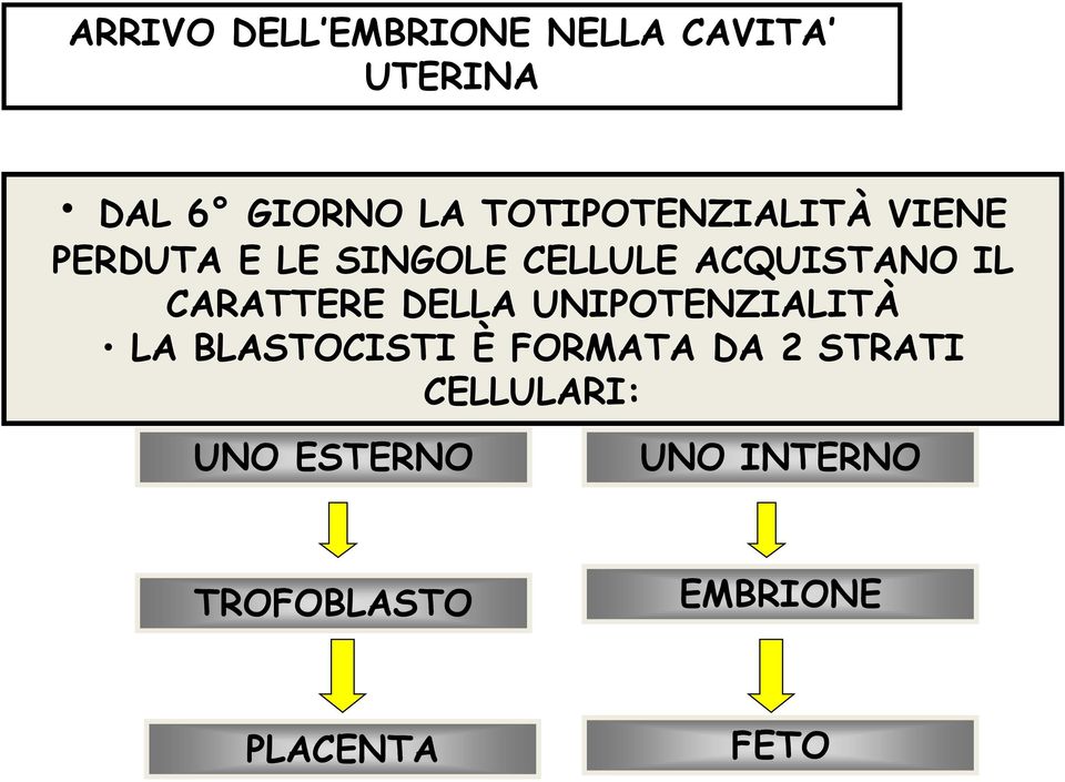 CARATTERE DELLA UNIPOTENZIALITÀ LA BLASTOCISTI È FORMATA DA 2