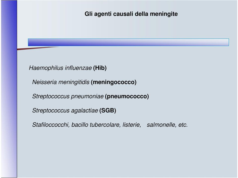 pneumoniae (pneumococco) Streptococcus agalactiae (SGB)