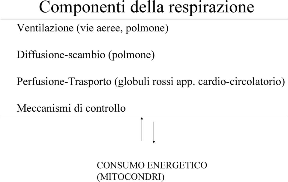 Perfusione-Trasporto (globuli rossi app.