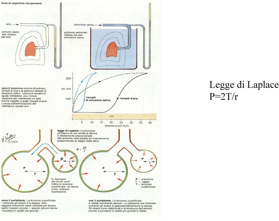 P=2T/r