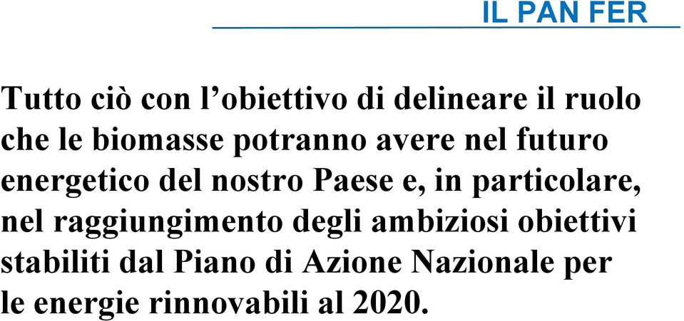 in particolare, nel raggiungimento degli ambiziosi obiettivi