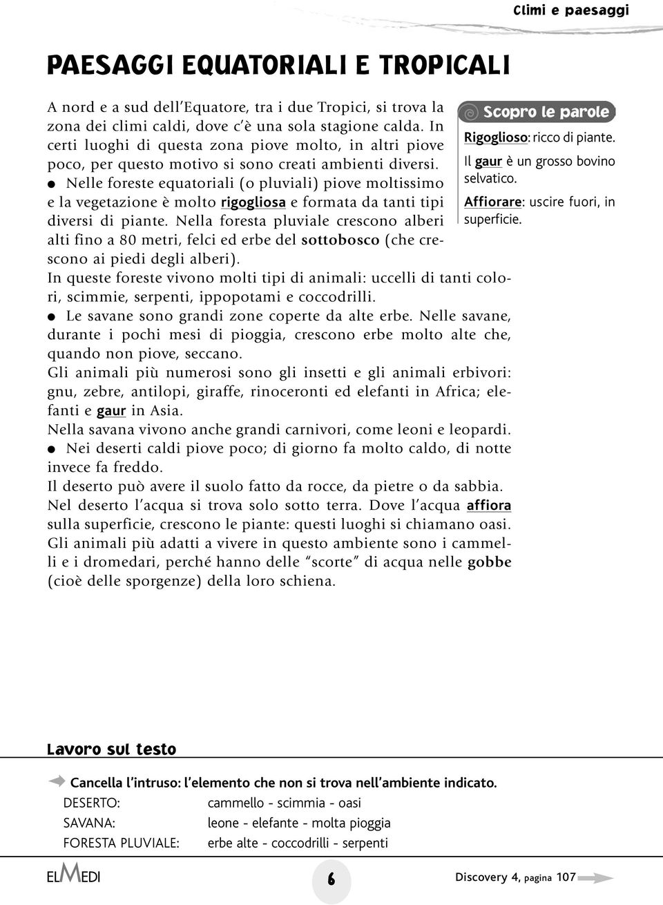 Nelle foreste equatoriali (o pluviali) piove moltissimo e la vegetazione è molto rigogliosa e formata da tanti tipi diversi di piante.