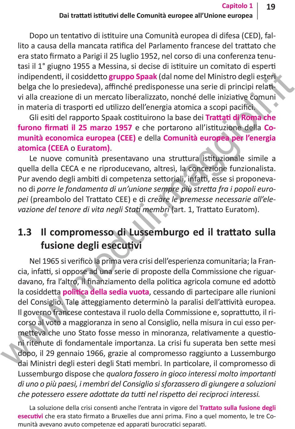 indipendenti, il cosiddetto gruppo Spaak (dal nome del Ministro degli esteri belga che lo presiedeva), affinché predisponesse una serie di principi relativi alla creazione di un mercato