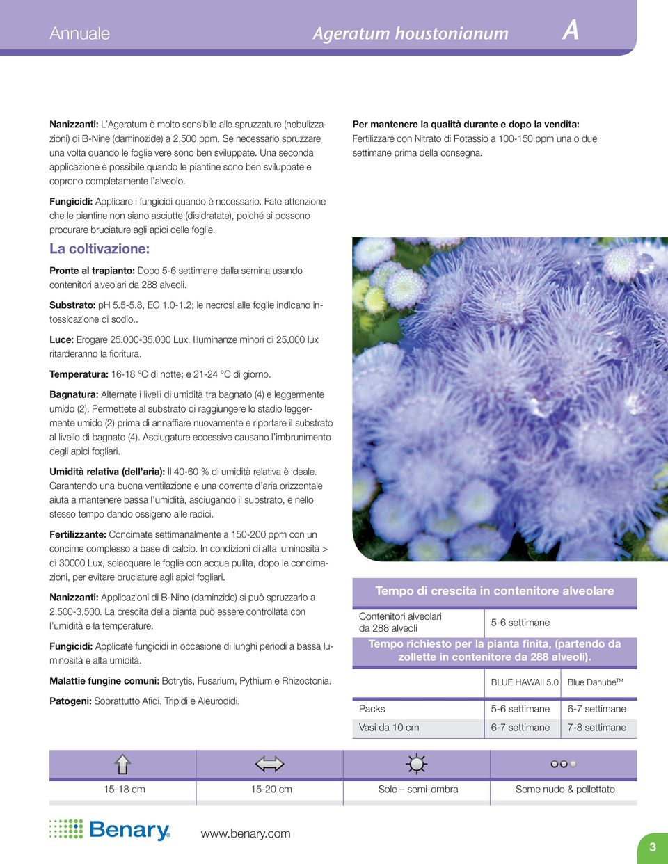 Per mantenere la qualità durante e dopo la vendita: Fertilizzare con Nitrato di Potassio a 100-150 ppm una o due settimane prima della consegna. Fungicidi: Applicare i fungicidi quando è necessario.