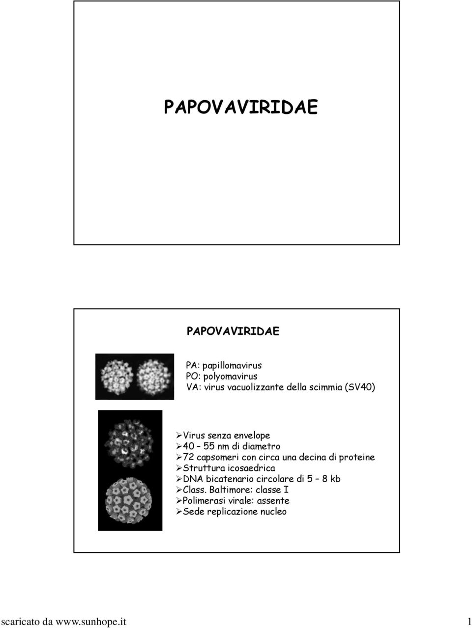 decina di proteine Struttura icosaedrica DNA bicatenario circolare di 5 8 kb Class.