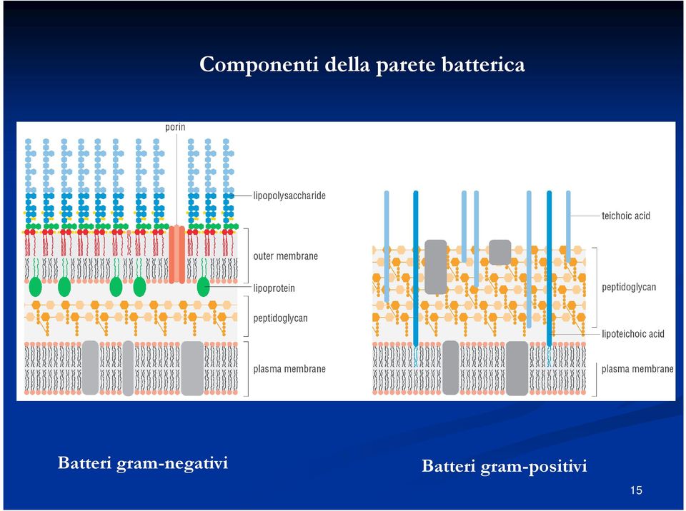 Batteri