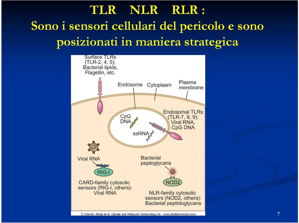 pericolo e sono