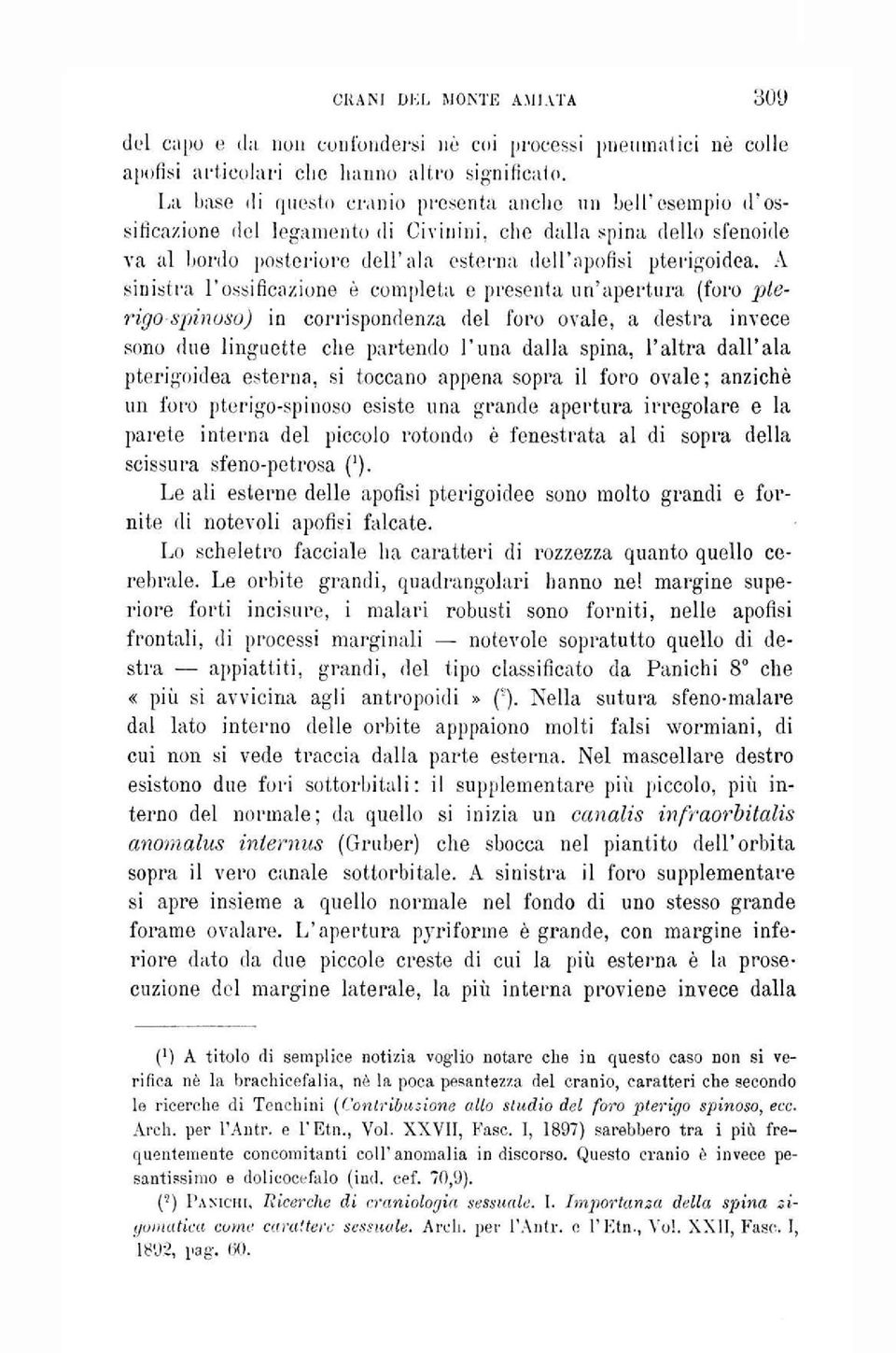 A sinistra l'ossificazione è completa e presenta un'apertura (foro pierigo spinoso) in corrispondenza del foro ovale, a destra invece sono due linguette che partendo Luna dalla spina, l'altra