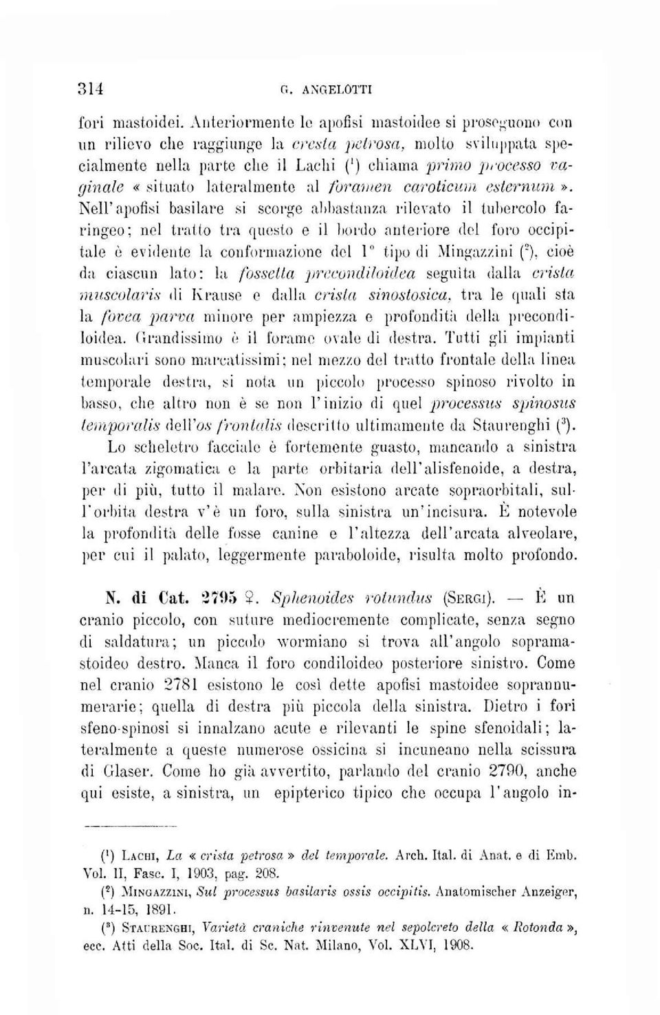 lateralmente al foramen caroticum esternimi».