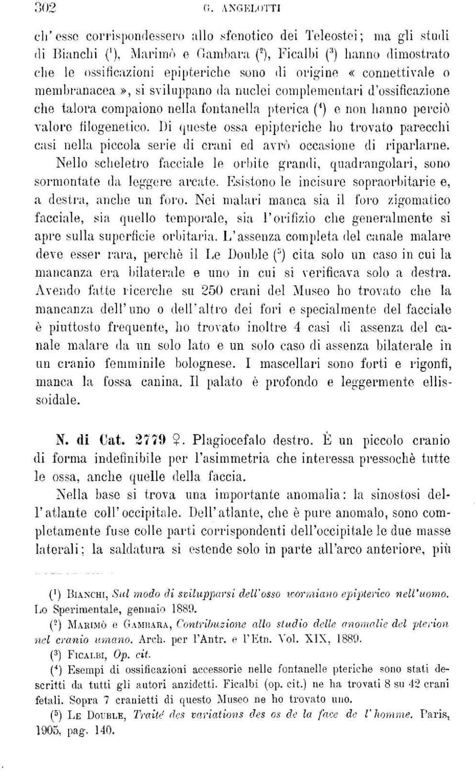 talora compaiono nella fontanella pterica ( 4 ) e non hanno perciò valore filogenetico.