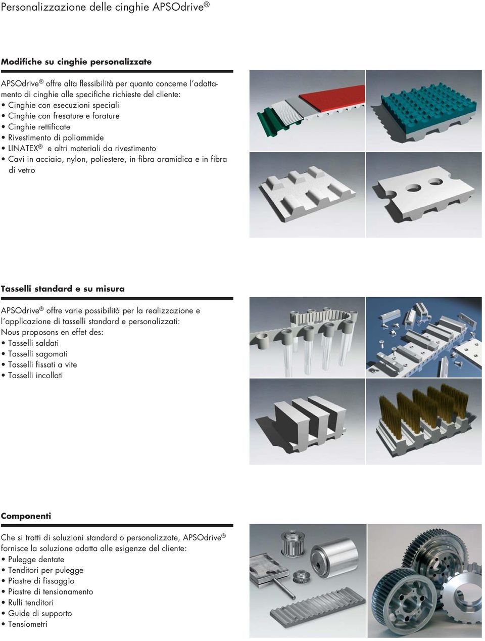 aramidica e in fibra di vetro Tasselli standard e su misura APSOdrive offre varie possibilità per la realizzazione e l applicazione di tasselli standard e personalizzati: Nous proposons en effet des: