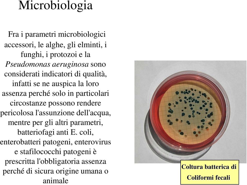 pericolosa l'assunzione dell'acqua, mentre per gli altri parametri, batteriofagi anti E.