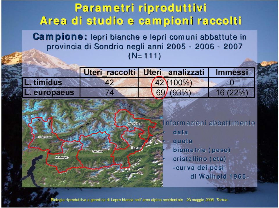 Uteri _analizzati Immessi L. timidus 42 42 (100%) 0 L.