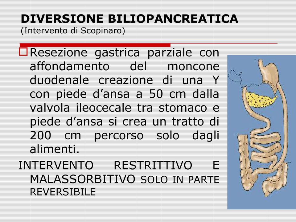 valvola ileocecale tra stomaco e piede d ansa si crea un tratto di 200 cm percorso