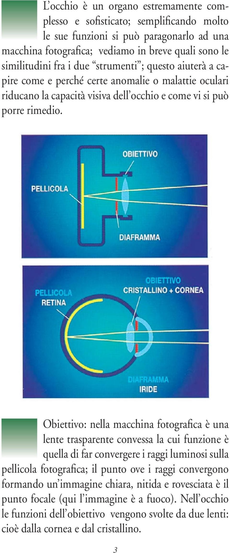 Obiettivo: nella macchina fotografica è una lente trasparente convessa la cui funzione è quella di far convergere i raggi luminosi sulla pellicola fotografica; il punto ove i raggi