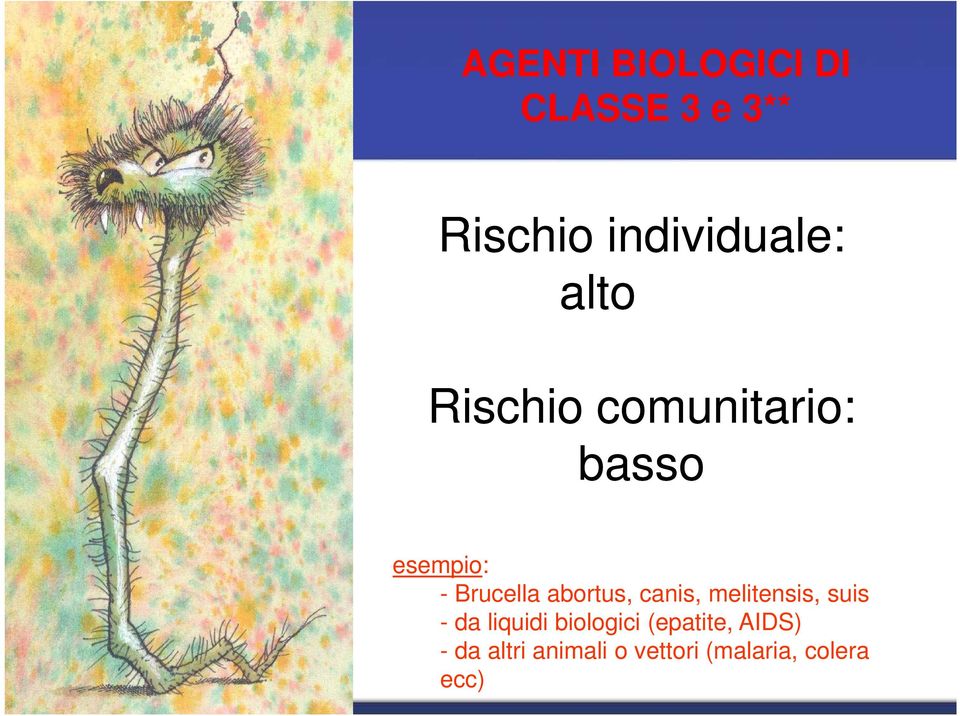 abortus, canis, melitensis, suis - da liquidi biologici