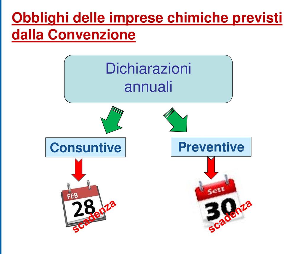 Convenzione Dichiarazioni