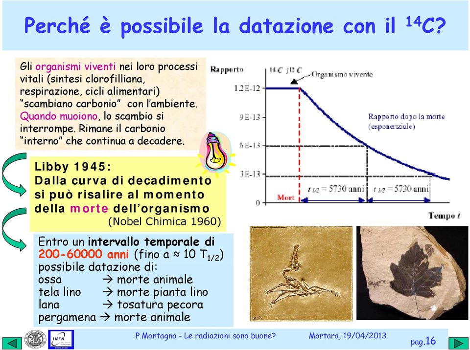 Quando muoiono, lo scambio si interrompe. Rimane il carbonio interno che continua a decadere.