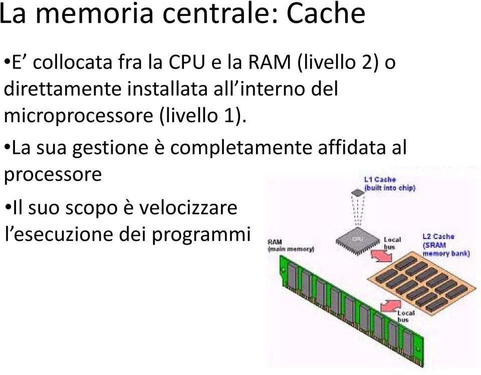 microprocessore (livello 1).