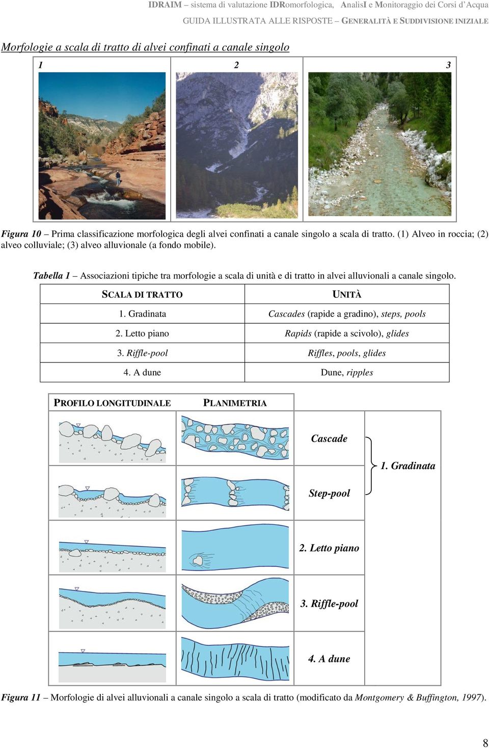 Tabella 1 Associazioni tipiche tra morfologie a scala di unità e di tratto in alvei alluvionali a canale singolo. SCALA DI TRATTO UNITÀ 1. Gradinata Cascades (rapide a gradino), steps, pools 2.