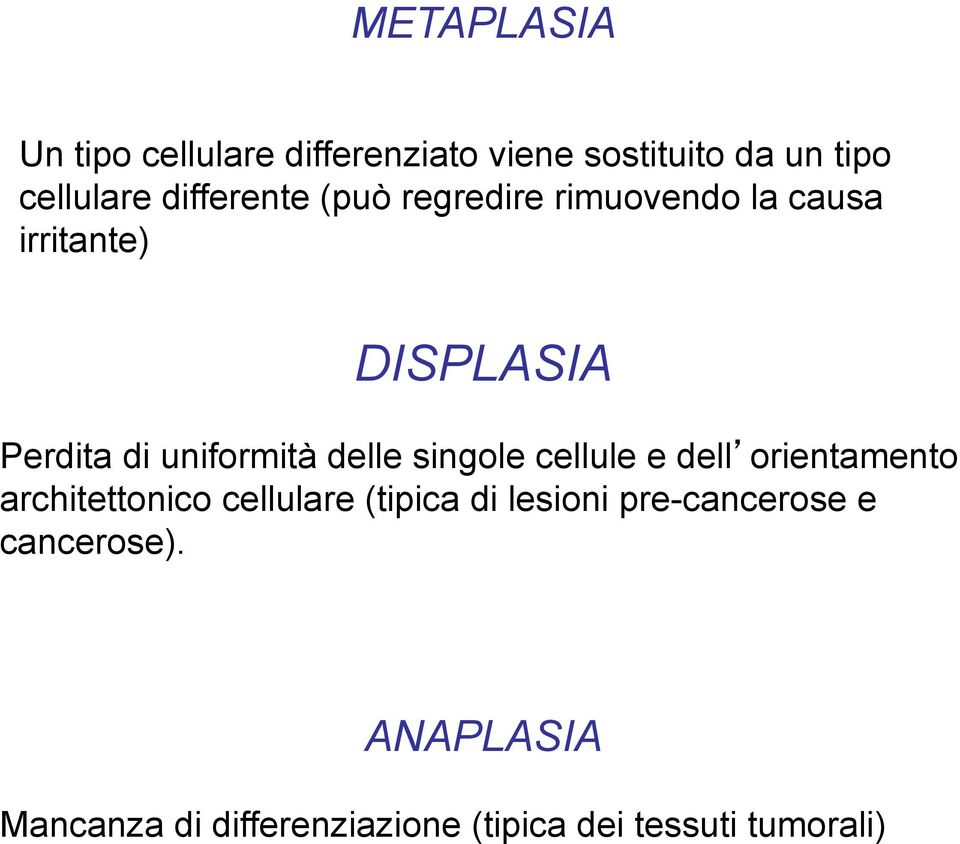 uniformità delle singole cellule e dell orientamento architettonico cellulare (tipica