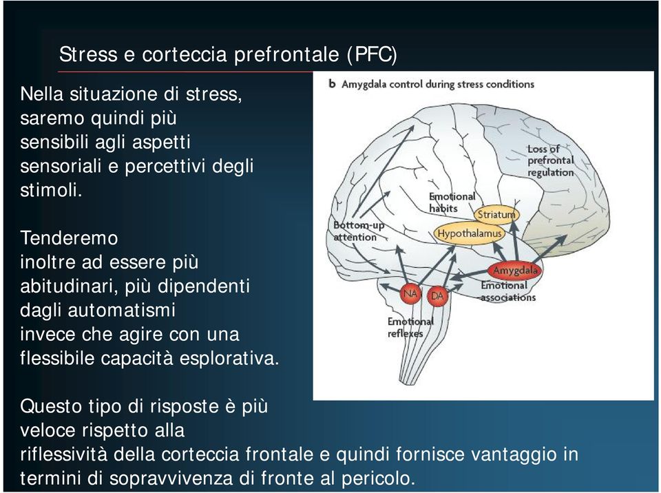 Tenderemo inoltre ad essere più abitudinari, più dipendenti dagli automatismi invece che agire con una