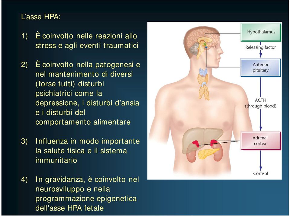 d ansia e i disturbi del comportamento alimentare 3) Influenza in modo importante la salute fisica e il