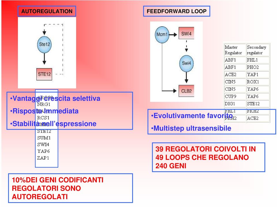 favorito Multistep ultrasensibile 39 REGOLATORI COIVOLTI IN 49