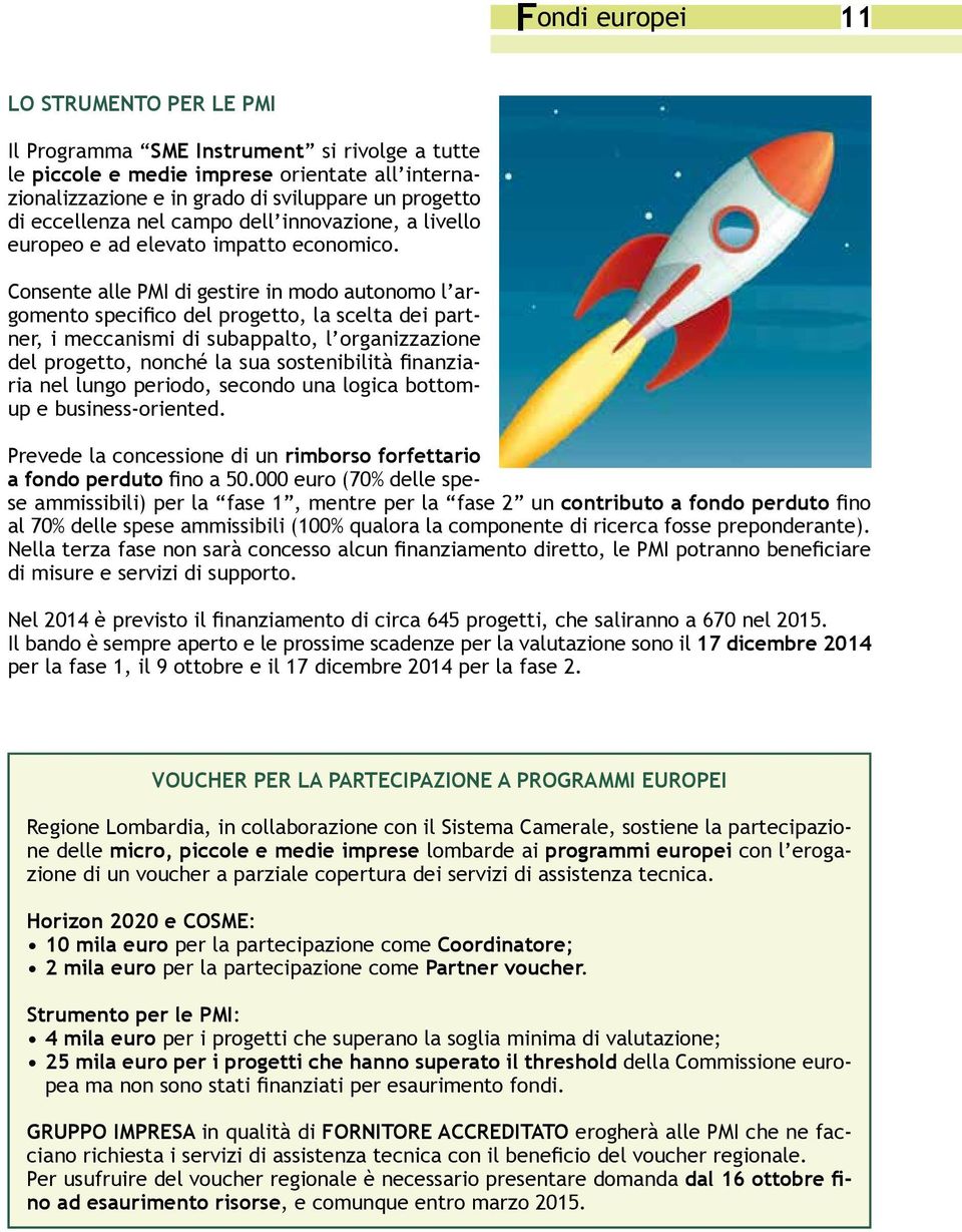 Consente alle PMI di gestire in modo autonomo l argomento specifico del progetto, la scelta dei partner, i meccanismi di subappalto, l organizzazione del progetto, nonché la sua sostenibilità