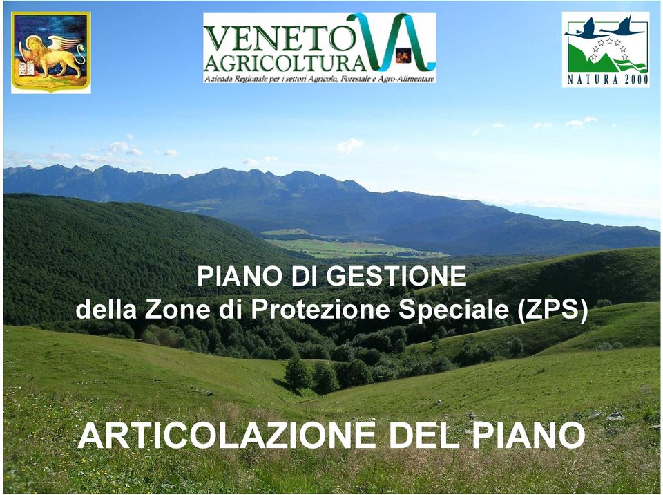 Protezione Speciale