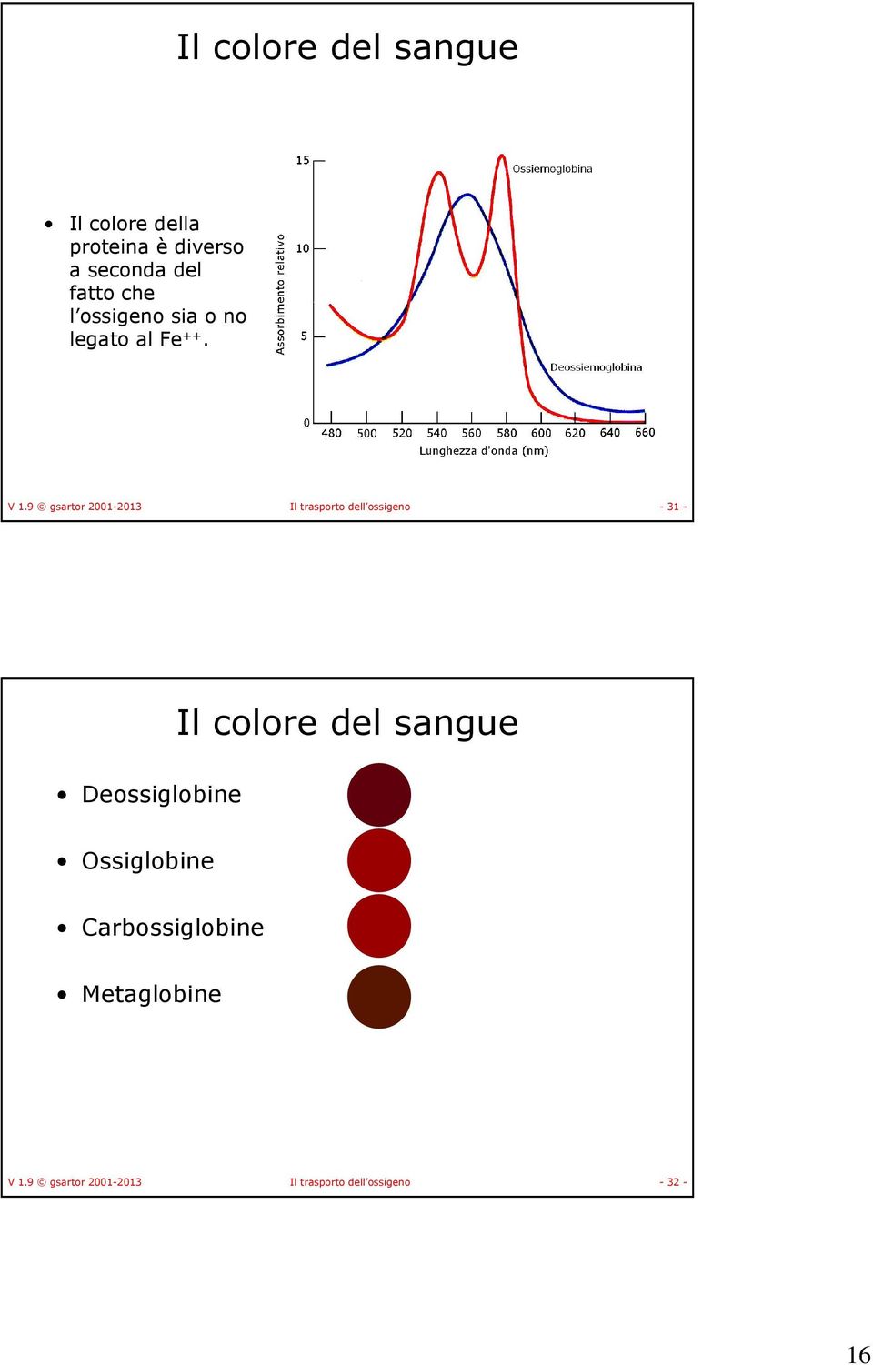 9 gsartor 2001-2013 Il trasporto dell ossigeno - 31 - Il colore del sangue