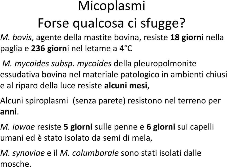 mycoides della pleuropolmonite essudativa bovina nel materiale patologico in ambienti chiusi e al riparo della luce resiste alcuni