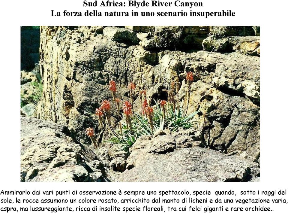 arricchito dal manto di licheni e da una vegetazione varia, aspra, ma