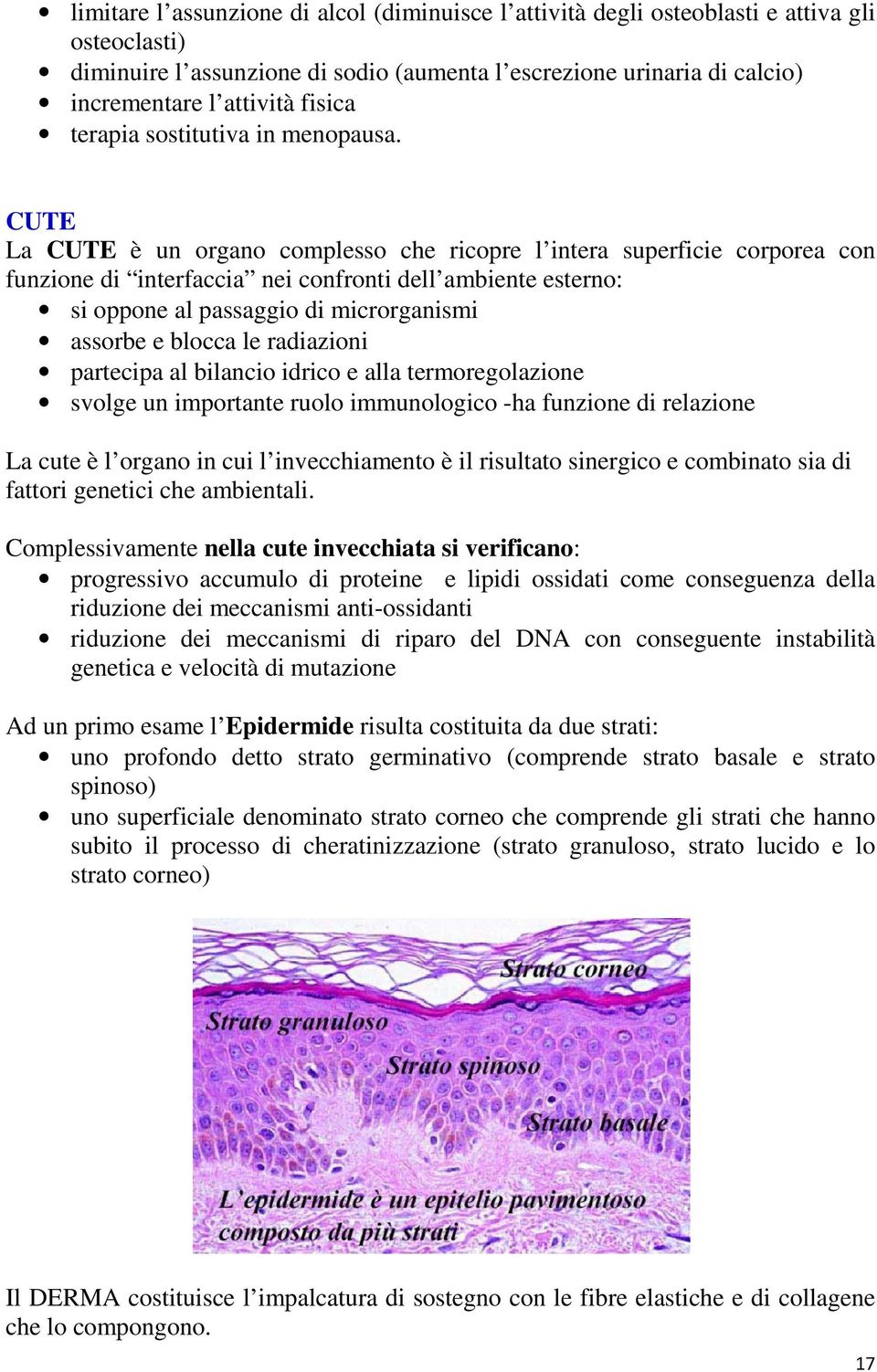 CUTE La CUTE è un organo complesso che ricopre l intera superficie corporea con funzione di interfaccia nei confronti dell ambiente esterno: si oppone al passaggio di microrganismi assorbe e blocca