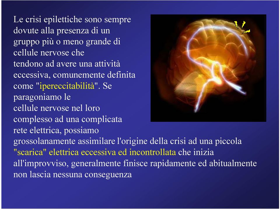 Se paragoniamo le cellule nervose nel loro complesso ad una complicata rete elettrica, possiamo grossolanamente assimilare