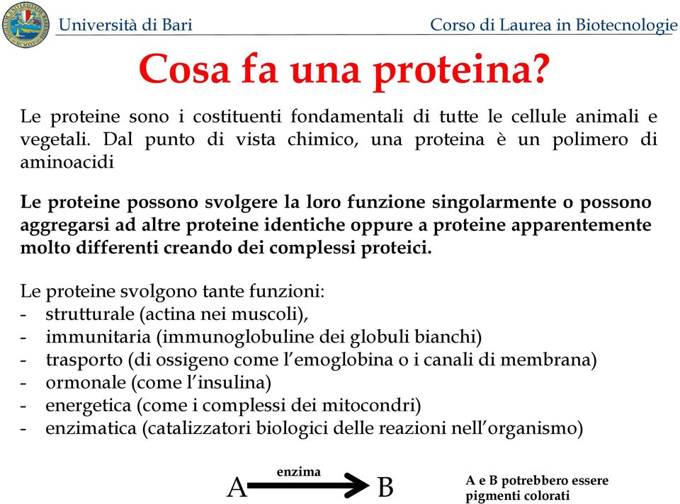 proteine apparentemente molto differenti creando dei complessi proteici.