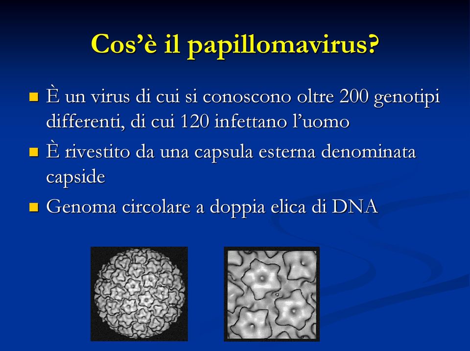 differenti, di cui 120 infettano l uomo È rivestito