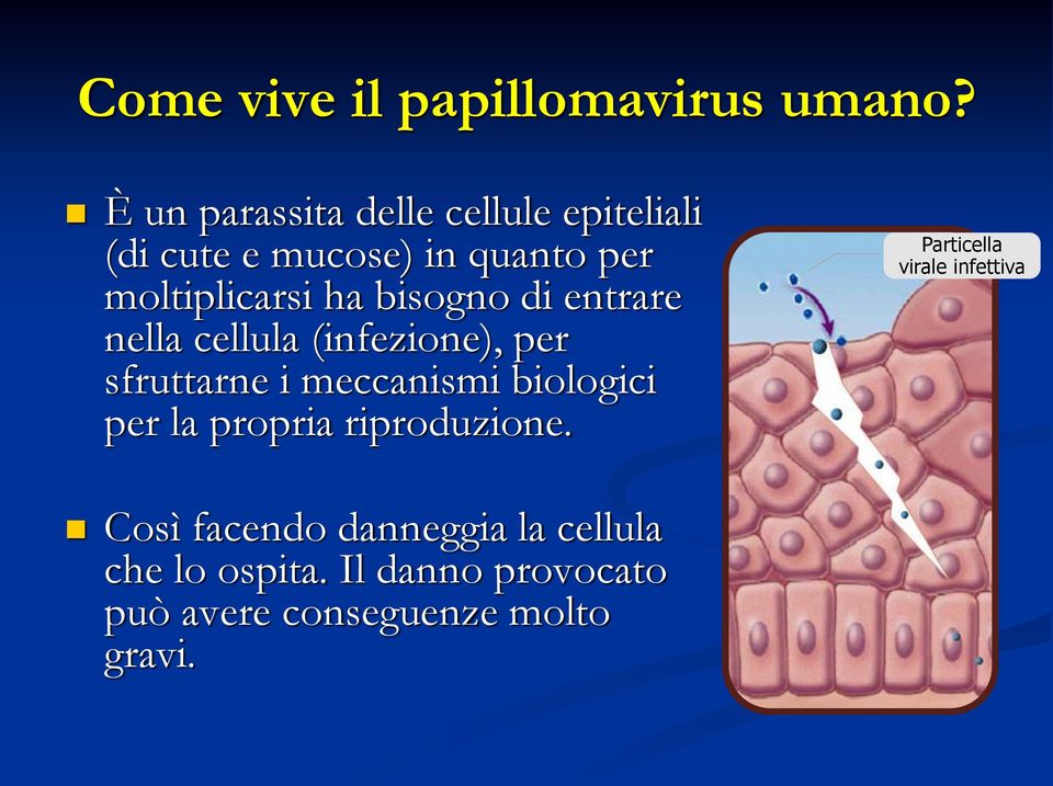 bisogno di entrare nella cellula (infezione), per sfruttarne i meccanismi biologici per la