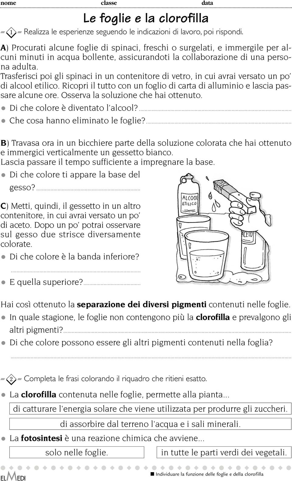 Trasferisci poi gli spinaci in un contenitore di vetro, in cui avrai versato un po di alcool etilico. Ricopri il tutto con un foglio di carta di alluminio e lascia passare alcune ore.