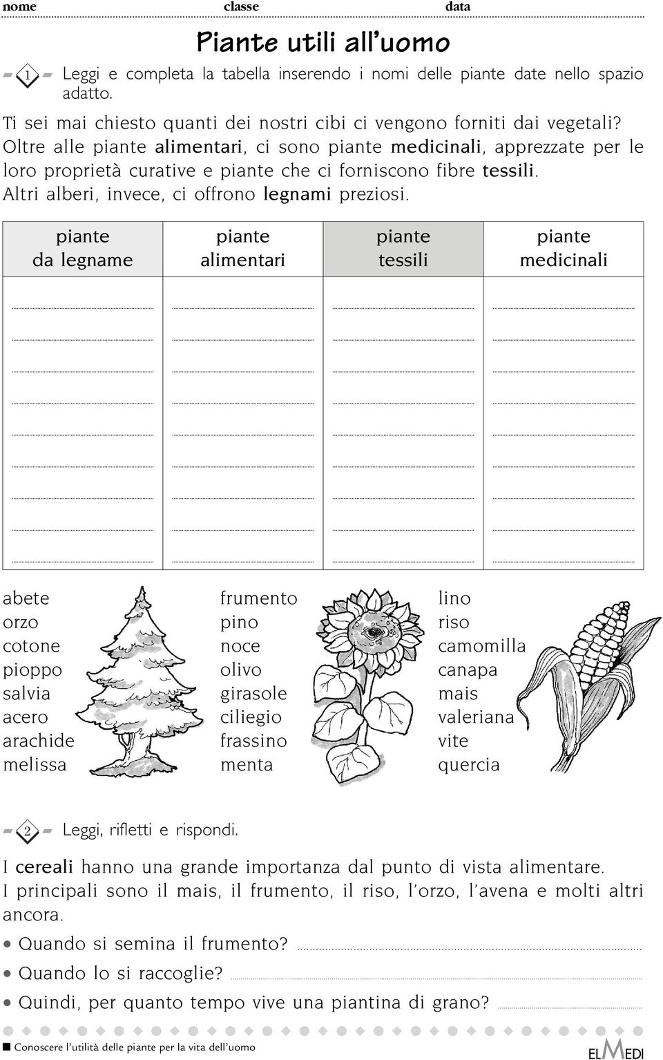 piante da legname piante alimentari piante tessili piante medicinali abete frumento lino orzo pino riso cotone noce camomilla pioppo olivo canapa salvia girasole mais acero ciliegio valeriana