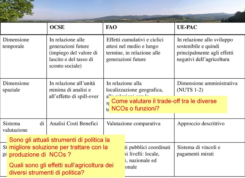 e all effetto di spill-over In relazione alla localizzazione geografica, alle relazioni con le specificità locali e la scala territoriale NCOs o interessata funzioni?