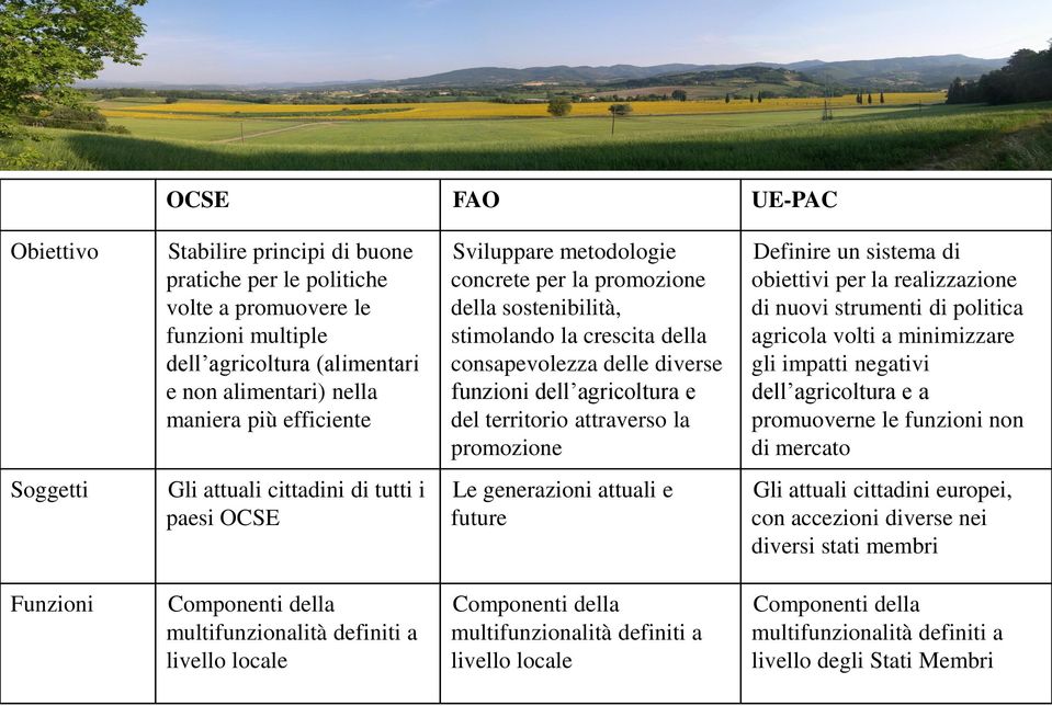 Definire un sistema di obiettivi per la realizzazione di nuovi strumenti di politica agricola volti a minimizzare gli impatti negativi dell agricoltura e a promuoverne le funzioni non di mercato