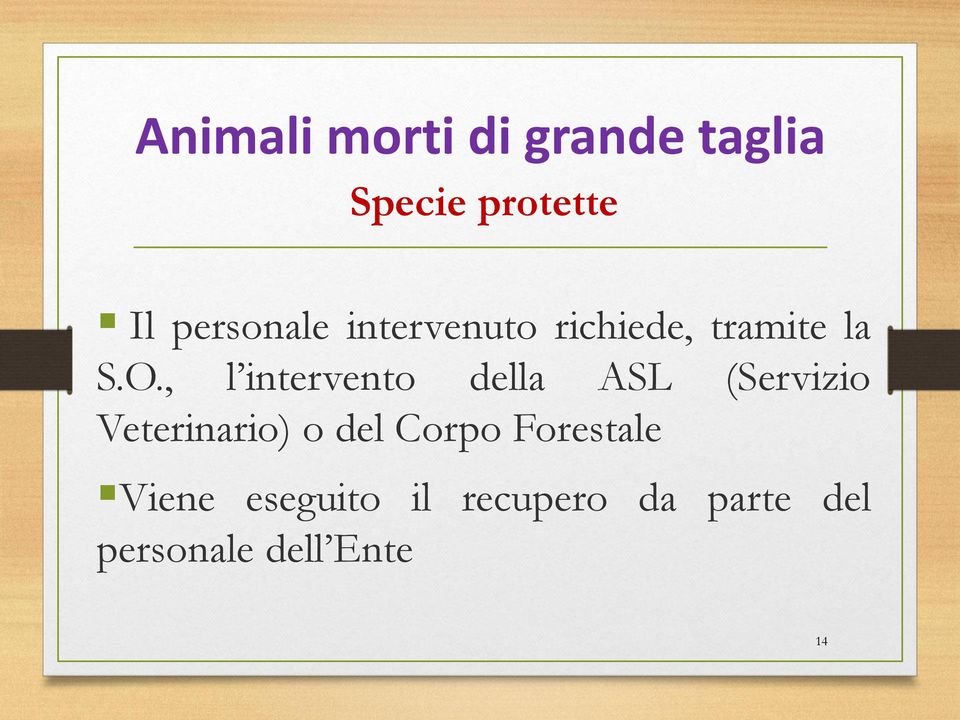 , l intervento della ASL (Servizio Veterinario) o del