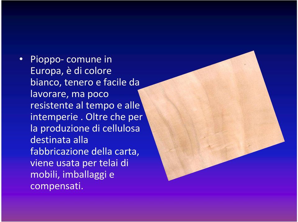 Oltre che per la produzione di cellulosa destinata alla