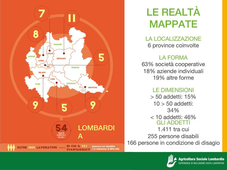 DIMENSIONI > 50 addetti: 15% 10 > 50 addetti: 34% < 10 addetti: 46% GLI