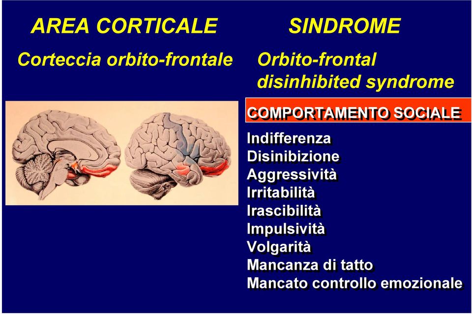 Indifferenza Disinibizione Aggressività Irritabilità