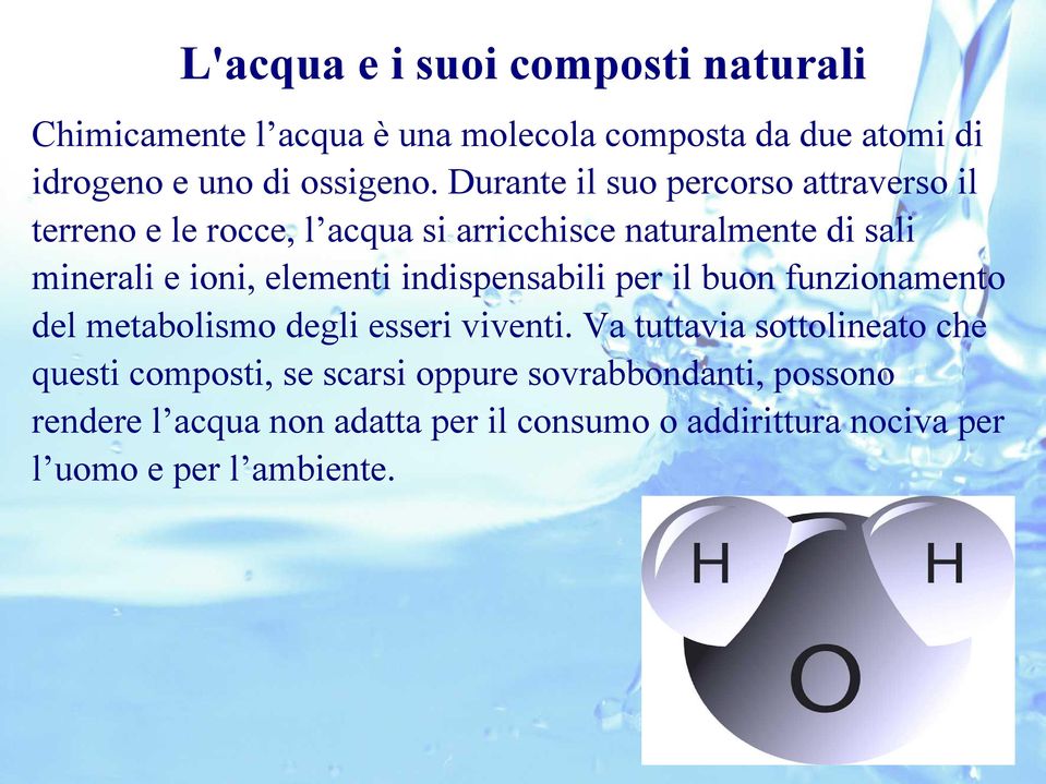 indispensabili per il buon funzionamento del metabolismo degli esseri viventi.